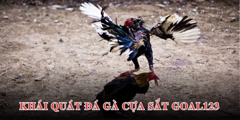 Thông tin giới thiệu một cách khái quát nhất về đá gà cựa sắt GOAL123 