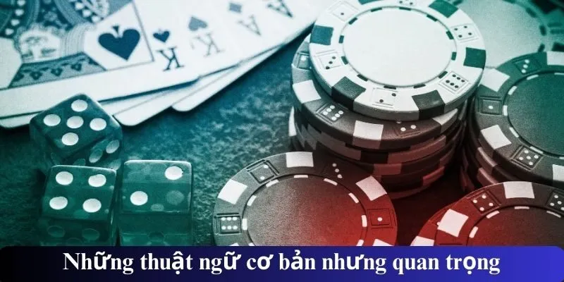 Những thuật ngữ cơ bản nhưng quan trọng
