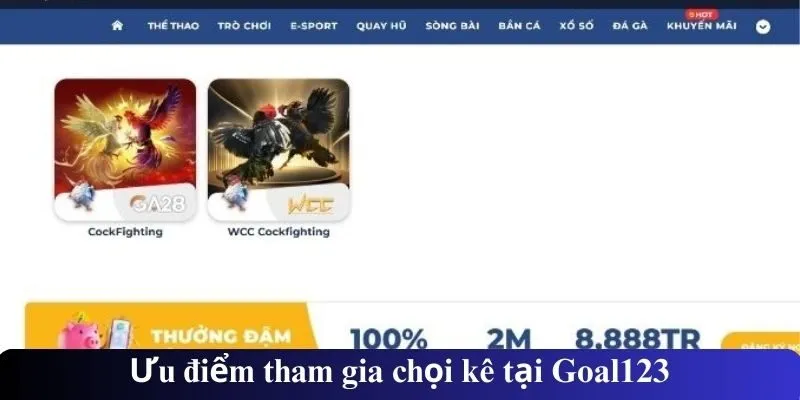 Ưu điểm tham gia chọi kê tại Goal123